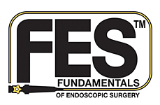 fes logo